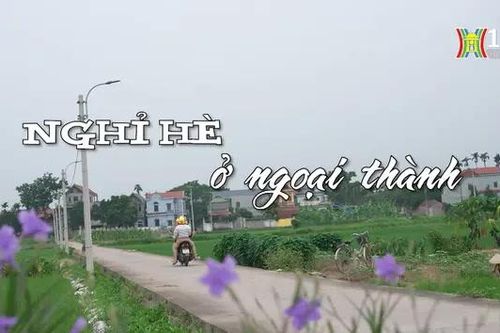Nghỉ hè ở ngoại thành | Nhịp sống Hà Nội | 16/07/2024