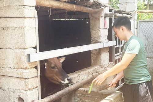 Hà Quảng phát huy vai trò cựu chiến binh cơ sở