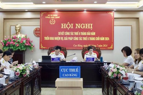 Cục Thuế tỉnh triển khai Nghị định số 78/2024/NĐ-CP, Thông tư số 46/2024/TT-BTC