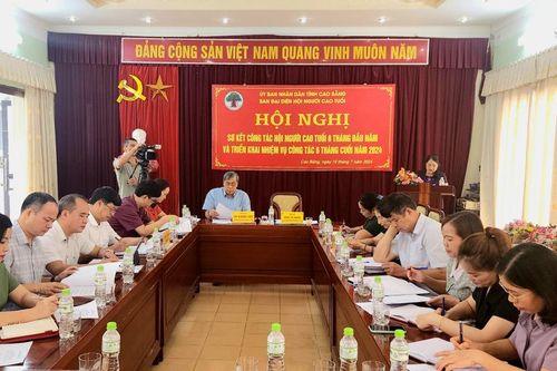 Hội Người cao tuổi triển khai nhiệm vụ 6 tháng cuối năm