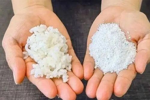 Cách diệt gián cực kỳ hiệu quả bằng cơm nguội và bột giặt