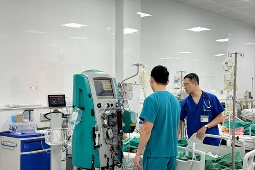 Đang ngồi trong nhà, bé gái 13 tuổi bị ong đốt vào mi mắt nguy kịch
