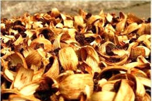 Đưa ra các thông tin gian dối, gã đàn ông chiếm đoạt 120 tấn cau khô của người nước ngoài