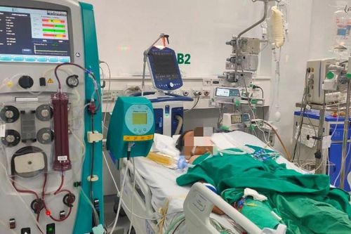 Bé gái nguy kịch vì bị ong mật đốt