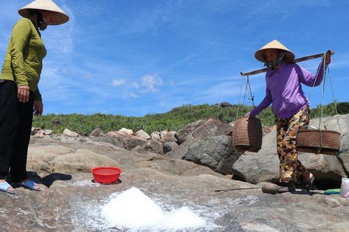 Mục sở thị đồng muối cổ trên đá 2.000 năm tuổi