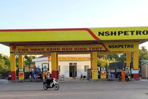 Bị cưỡng chế thuế, Dầu khí Nam Sông Hậu phải vay hàng trăm triệu USD?