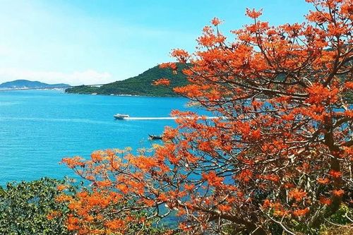 Tôn vinh Di sản Văn hóa Phi vật thể Quốc gia nghề đan võng ngô đồng