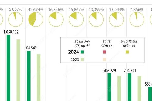 Kỳ thi tốt nghiệp Trung học Phổ thông 2024: Kết quả phân tích phổ điểm