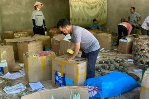 Trồng loại cây thu từ quả đến lá, một bản ở Điện Biên 'chia nhau' hàng tỷ đồng/năm
