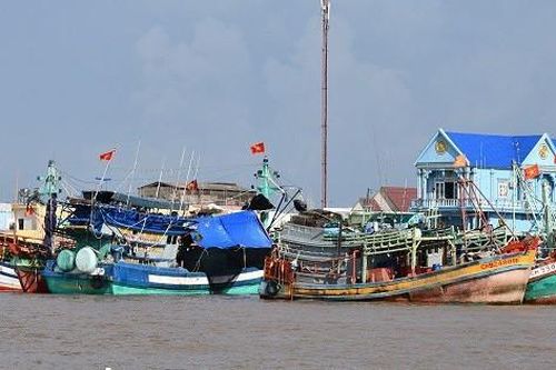 Cà Mau: Đơn vị cấp xã thiết lập đường dây nóng về khai thác nguồn lợi thủy sản