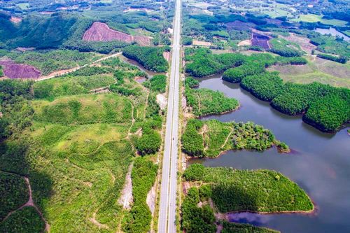 Đà Nẵng đề xuất chuyển 43,79 ha rừng trồng để Sun Group làm dự án khu biệt thự sinh thái