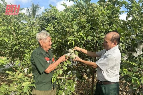 Cựu chiến binh làm kinh tế giỏi, sống nghĩa tình