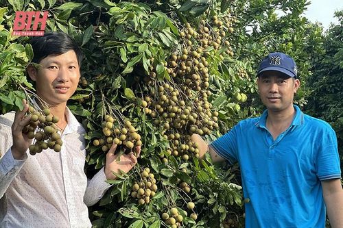 Đẩy nhanh lộ trình về đích nông thôn mới của huyện miền núi Ngọc Lặc