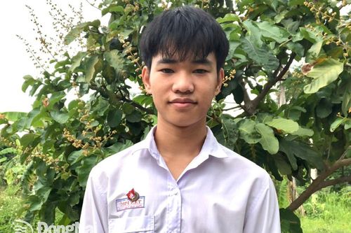Thí sinh đồng thủ khoa Khối A của trường THPT Tân Phú: 'Học ké' các giáo viên dạy online qua Facebook