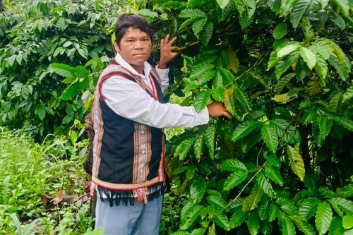 Ksor Am sản xuất giỏi, tích cực hỗ trợ hội viên phát triển kinh tế