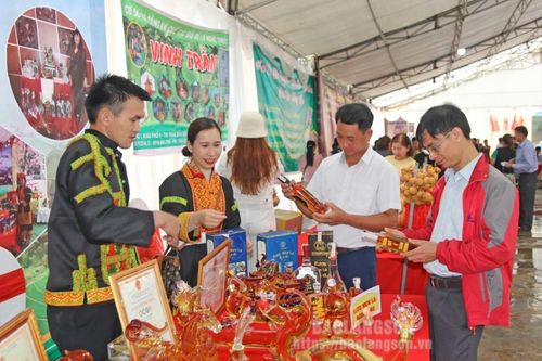 Phát triển hợp tác xã: Tăng liên kết, nâng hiệu quả