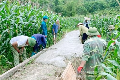 'Tai mắt' trong giám sát công trình ở cộng đồng