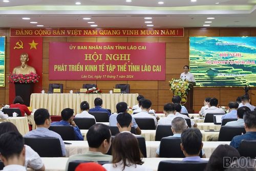 Tìm ra các giải pháp đột phá để tháo gỡ khó khăn cho khu vực kinh tế tập thể