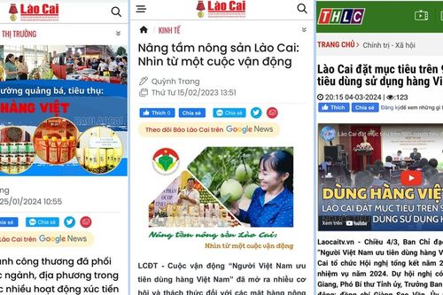 Hướng đến 'Tự hào tiêu dùng hàng Việt'