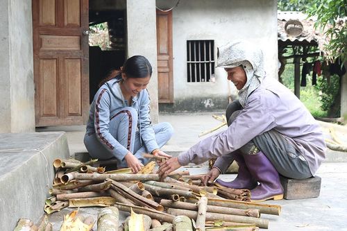 Nhân rộng các mô hình kinh tế