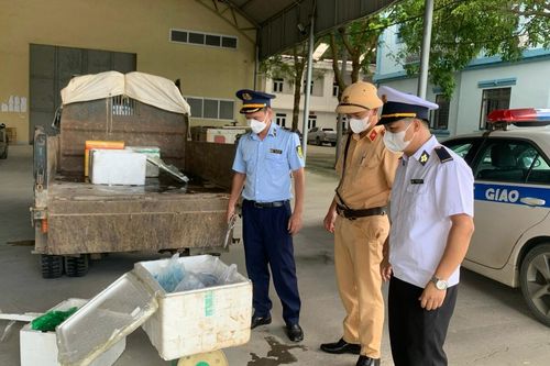 Xử phạt 2 chủ phương tiện vận chuyển nội tạng động vật không rõ nguồn gốc