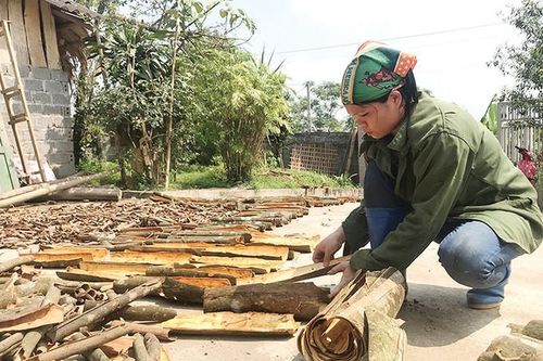 Phú Thọ đầu tư gần 20 tỷ đồng bảo hộ sở hữu trí tuệ cho các sản phẩm đặc trưng của tỉnh