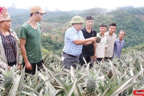 Đảng bộ xã Mường Sại lãnh đạo xây dựng nông thôn mới