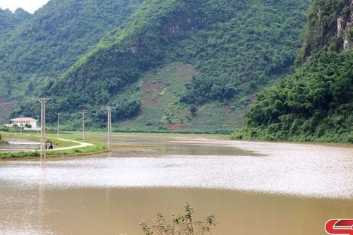 Chiềng La mưa ngập úng thiệt hại 20ha lúa mùa