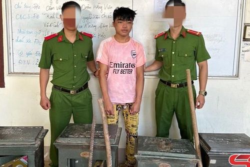 Bắt giữ đối tượng trộm cắp tài sản