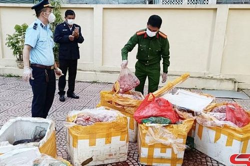 Bắt giữ xe chở hơn nửa tấn nội tạng động vật đã bốc mùi hôi thối