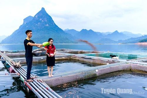 Agribank tạo lực cho doanh nghiệp phát triển