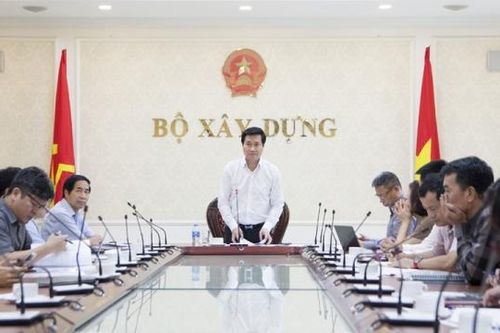 Cần rà soát quy định cụ thể về xác định giá trị và cấp giấy phép chặt hạ, di chuyển cây xanh