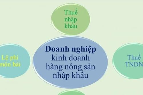 Hướng dẫn kê khai thuế đối với doanh nghiệp kinh doanh hàng nông sản nhập khẩu