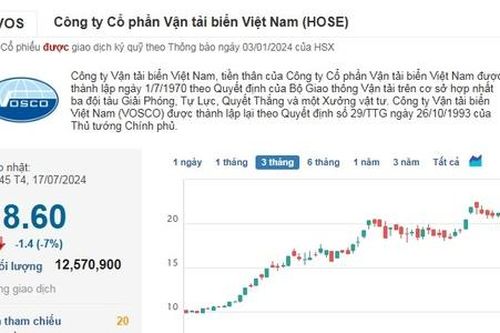 Vosco vừa báo lãi đột biến, cổ phiếu VOS lại 'trượt chân nằm sàn'