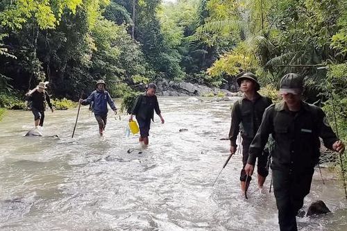 Triển khai nhiều giải pháp quản lý, bảo vệ rừng tại Nam Giang