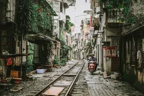 Những con phố nao nao nỗi nhớ...