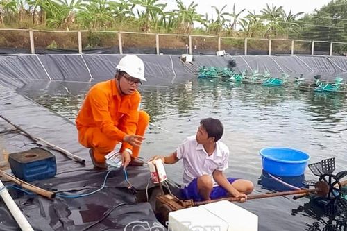 Tuân thủ an toàn điện để bảo vệ mình và mọi người