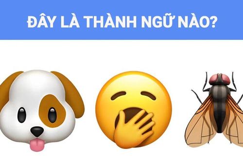 Không cần quá thông minh cũng đoán ra câu thành ngữ này trong 5 giây