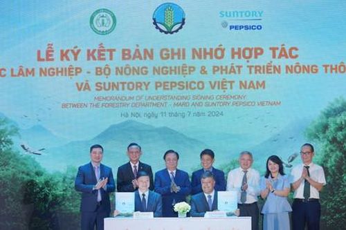 Hợp tác phát triển rừng bền vững, hướng đến bảo tồn nguồn nước, trung hòa carbon