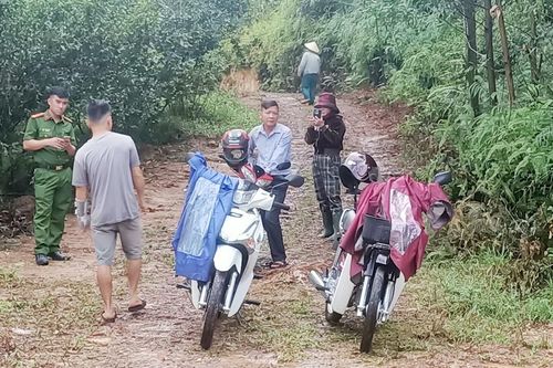 Hà Tĩnh: Đề nghị xử phạt trang trại lợn của cán bộ huyện gây ô nhiễm môi trường
