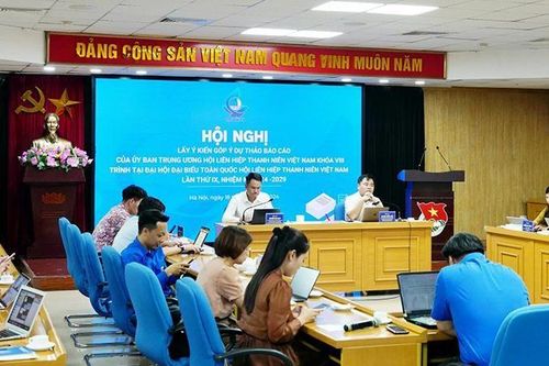 Góp ý dự thảo Báo cáo trình Đại hội đại biểu toàn quốc Hội LHTN Việt Nam