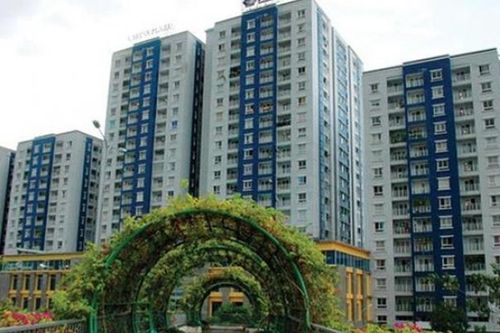 Năm Bảy Bảy (NBB) doanh thu BĐS 'lao dốc', chủ tịch HĐQT thoái vốn toàn bộ