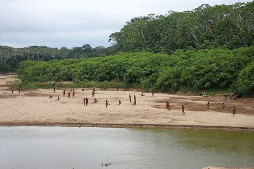 Phát hiện bộ tộc chưa được biết đến ở Amazon của Peru