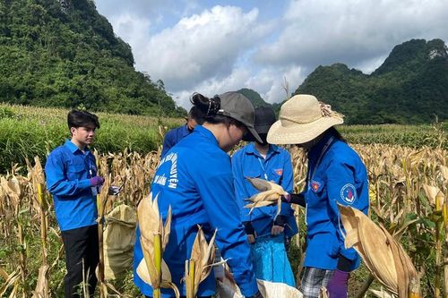 Tình nguyện mùa hè xanh ở Cao Bằng