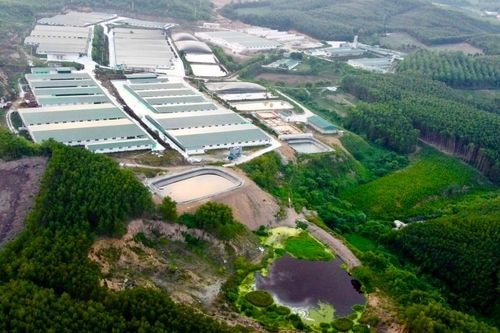 Xử phạt Công ty Tâm Việt hơn 120 triệu đồng vì gây ô nhiễm