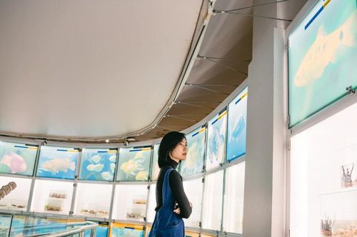 Ứng xử văn minh để không còn tư duy du lịch mùa vụ 'chộp giật''