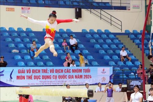 120 vận động viên tranh tài ở môn thể dục dụng cụ quy mô quốc gia