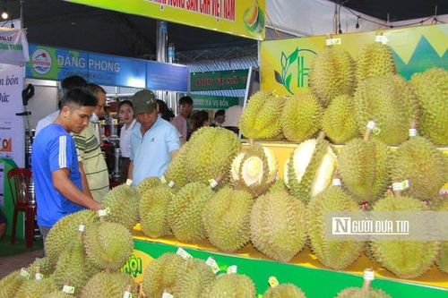 Những điểm mới đáng chú ý tại Lễ hội sầu riêng Krông Pắk năm 2024