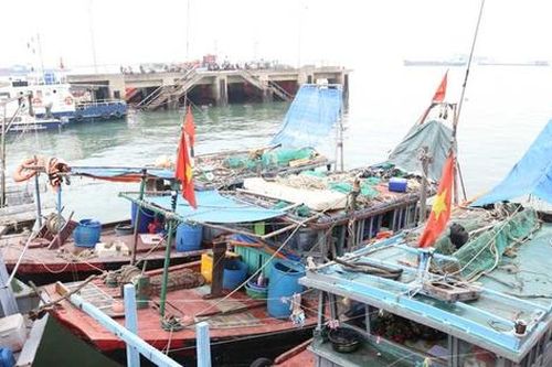 Quảng Ninh: Hoàn thành đăng ký 428 tàu cá trong tháng 10/2024