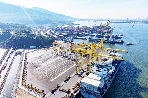 Các giải pháp để Cảng Đà Nẵng vượt khó 6 tháng cuối năm 2024